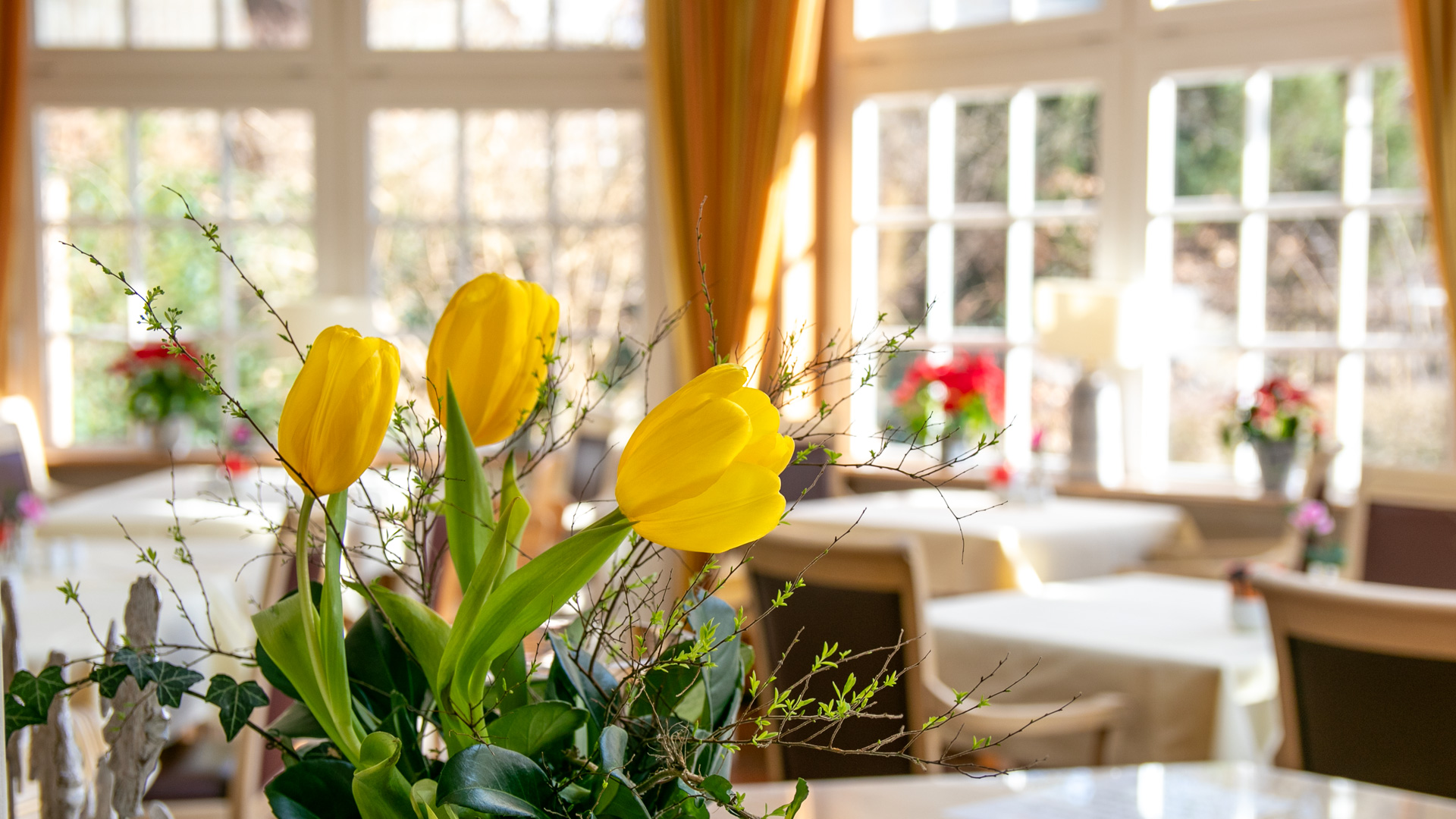 verschneite Wintermotive in Ahrenshoop, symbolisch für Aktionsangebot im Winter